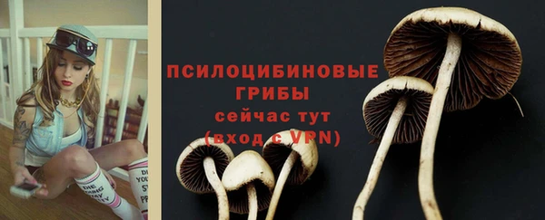 таблы Кодинск
