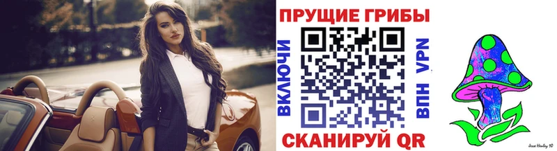Галлюциногенные грибы Cubensis  Михайловка 