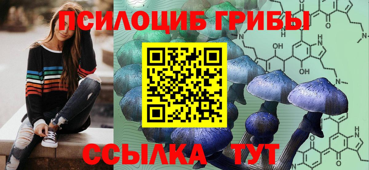 Псилоцибиновые грибы Cubensis  Галлюциногенные грибы Psilocybe  Михайловка  Вход с VPN 