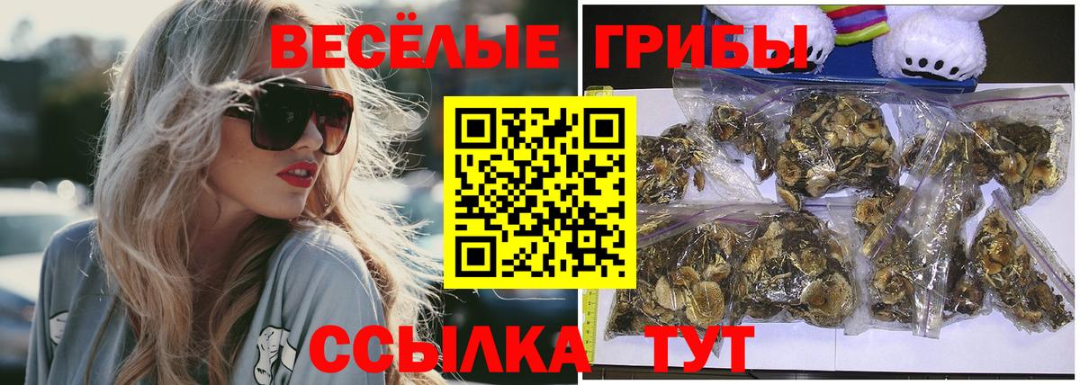 Галлюциногенные грибы мухоморы  купить наркотики цена  Михайловка 